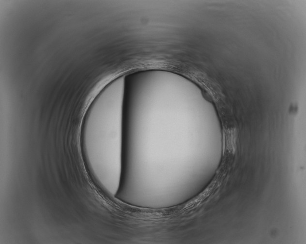 X0000097590147200802290756