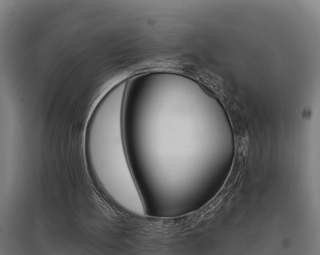 X0000097590148200802290756