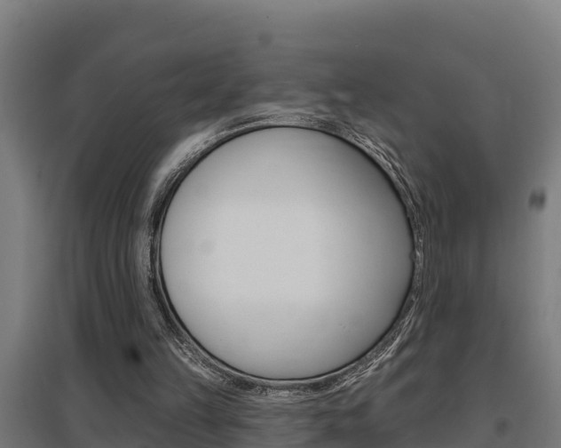 X0000097590149200802290756