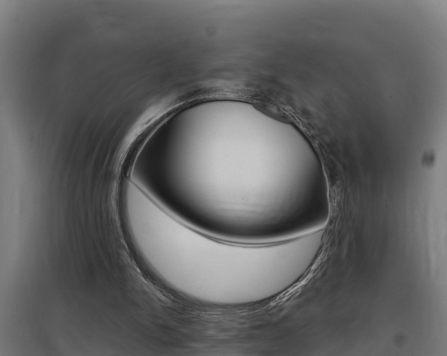 X0000097590150200802290756