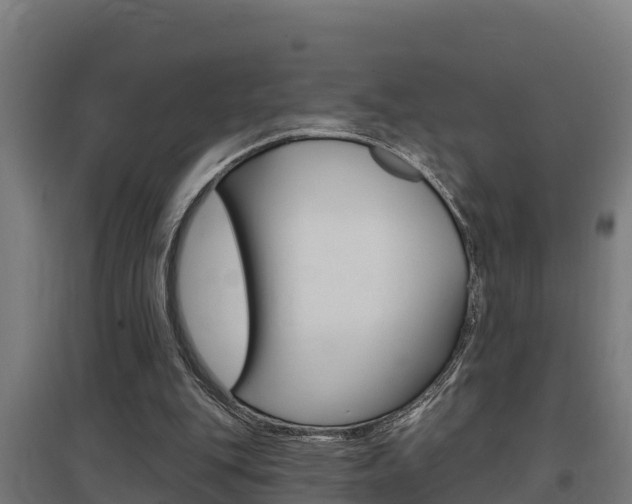 X0000097590151200802290757