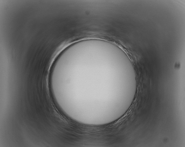X0000097590152200802290757