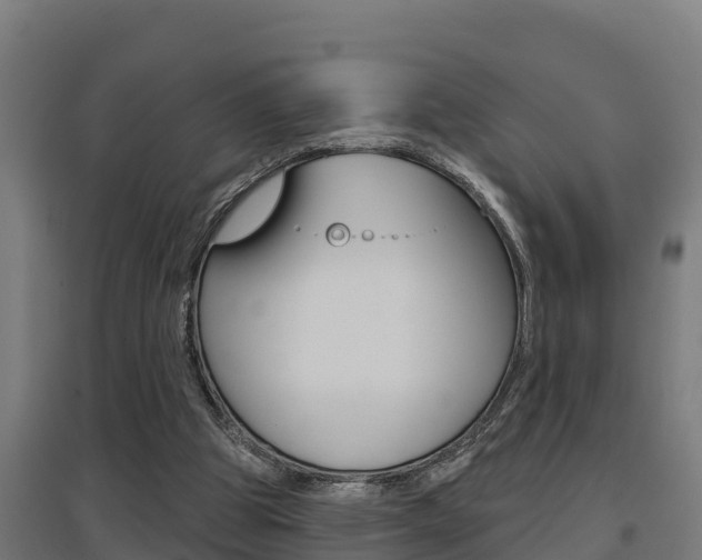 X0000097590153200802290757