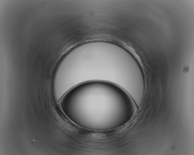 X0000097590154200802290757