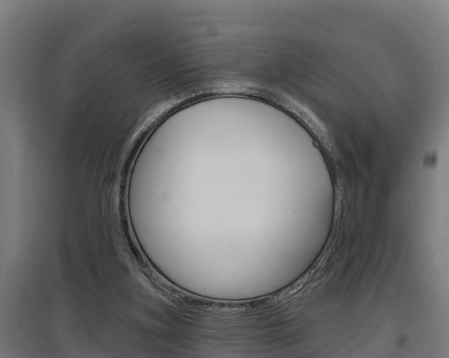 X0000097590155200802290757