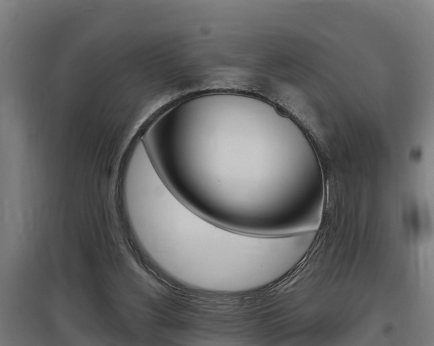 X0000097590156200802290757