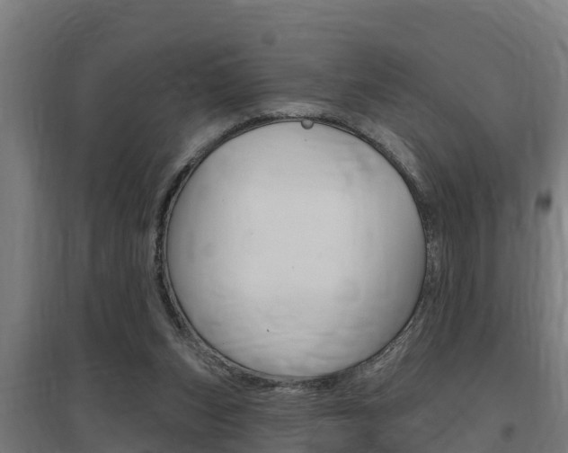 X0000097590159200802290757