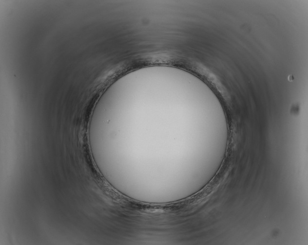 X0000097590161200802290757