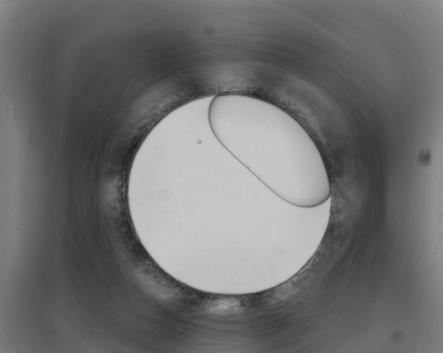 X0000097590162200802290757