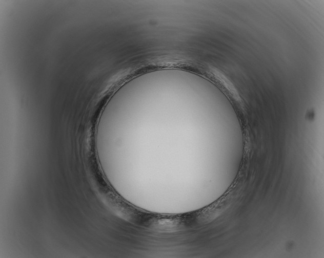 X0000097590163200802290757