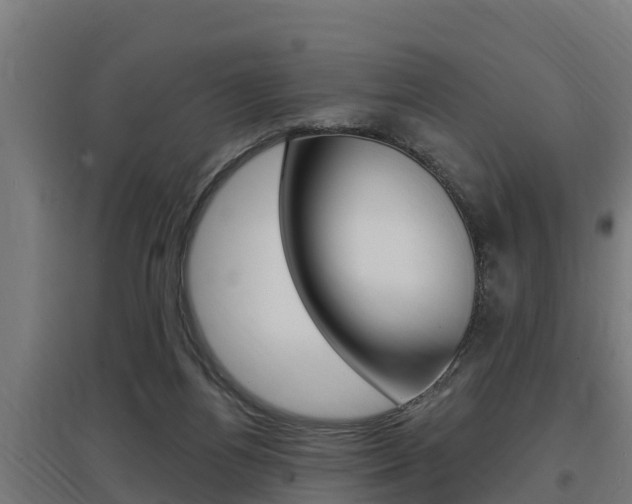 X0000097590164200802290757
