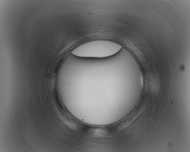 X0000097590165200802290757