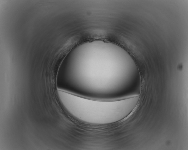 X0000097590170200802290757