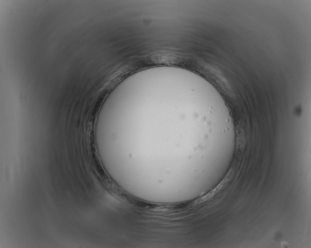 X0000097590171200802290757