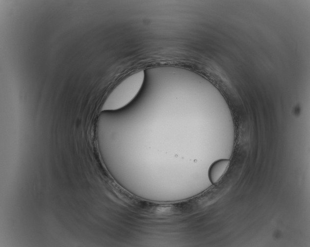 X0000097590173200802290757