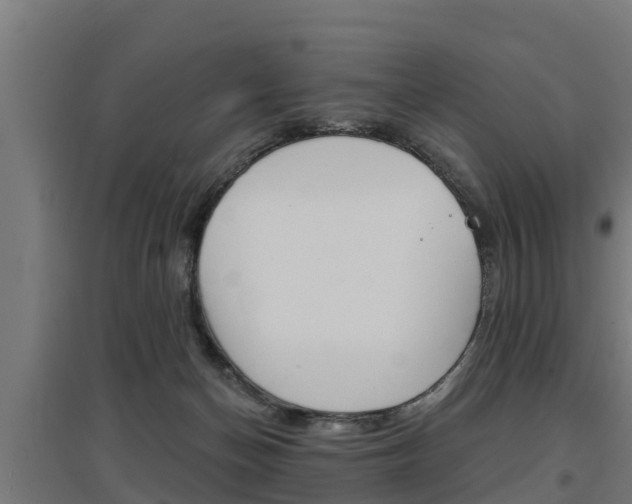 X0000097590174200802290757