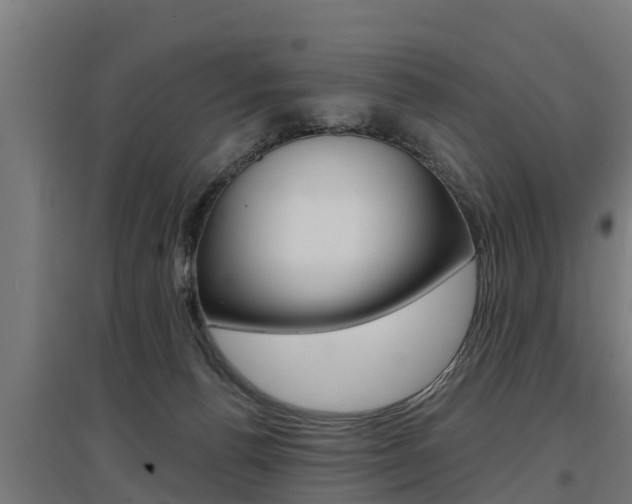 X0000097590176200802290757