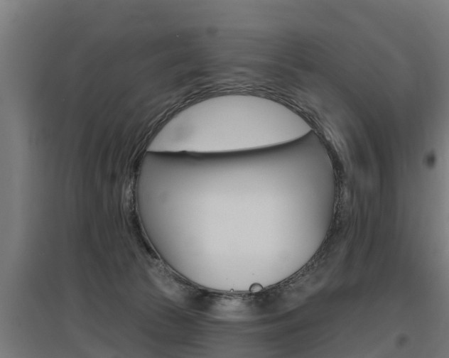 X0000097590177200802290757