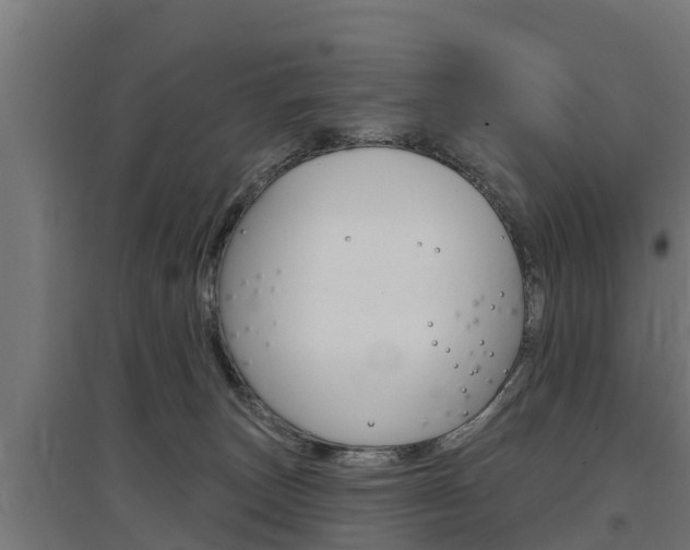 X0000097590179200802290757
