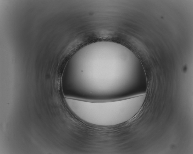 X0000097590180200802290757