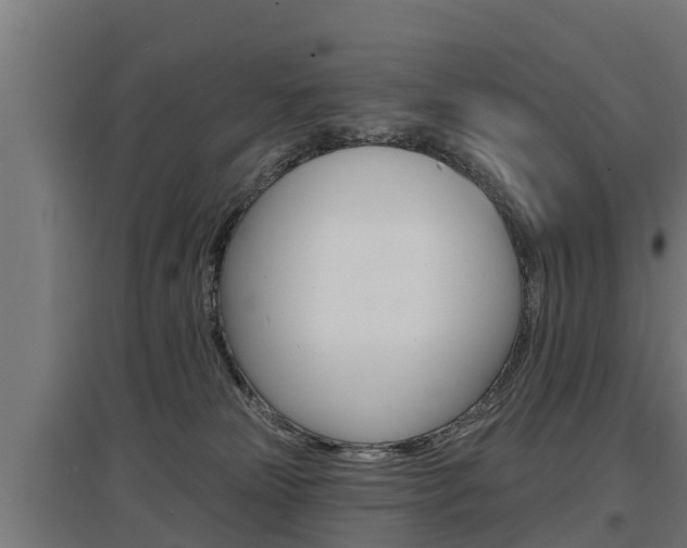 X0000097590181200802290757