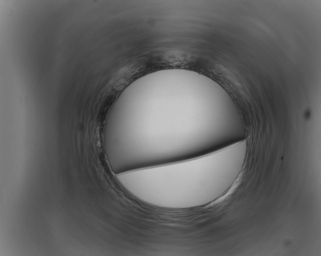 X0000097590182200802290757
