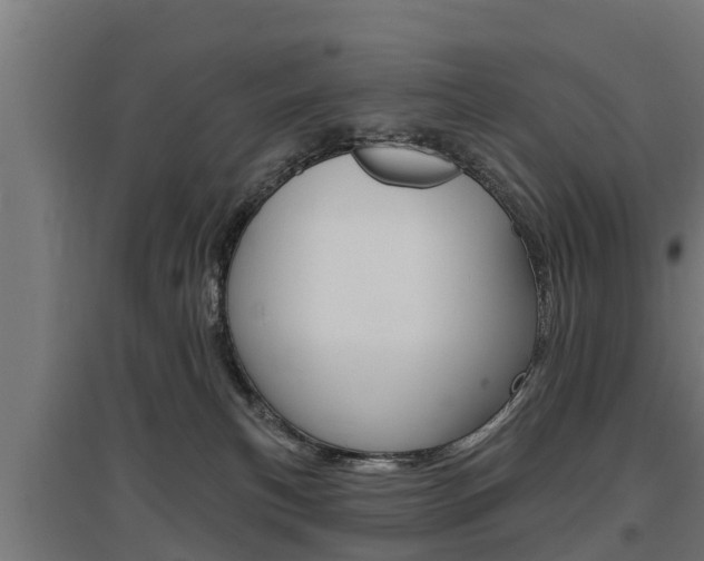 X0000097590183200802290757