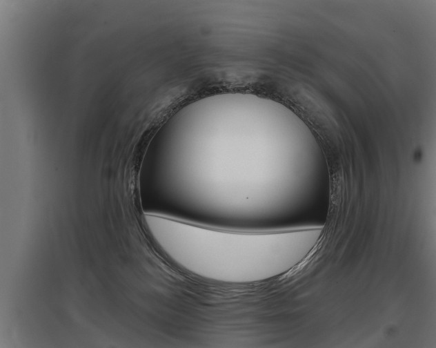 X0000097590184200802290757