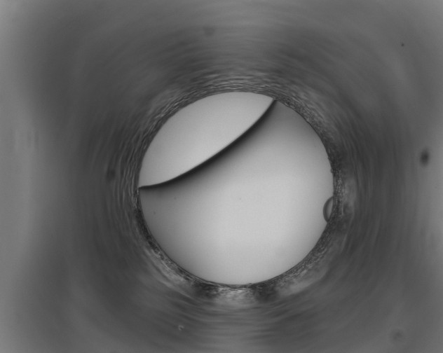X0000097590185200802290757