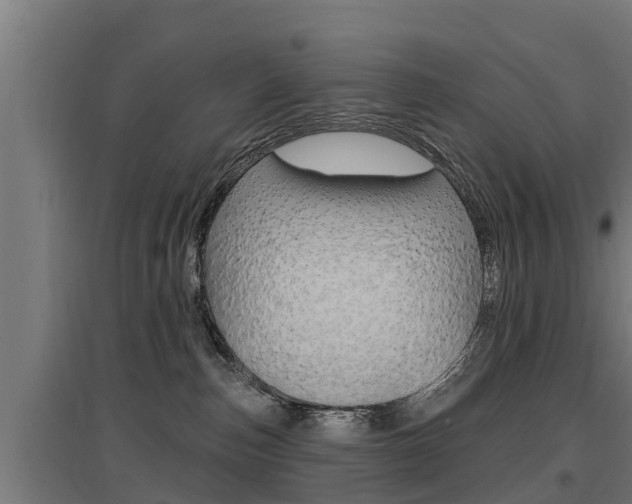 X0000097590187200802290757