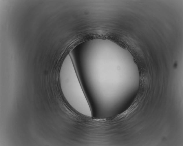 X0000097590188200802290757