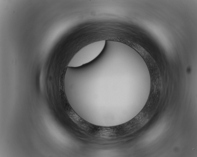 X0000097590189200802290757