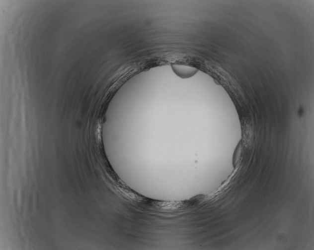 X0000097590191200802290757