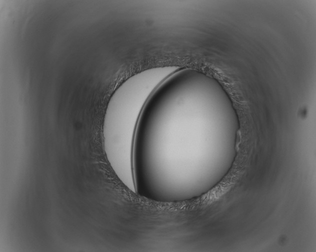 X0000097590192200802290757