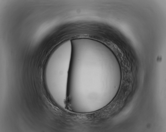 X0000097590194200802290756