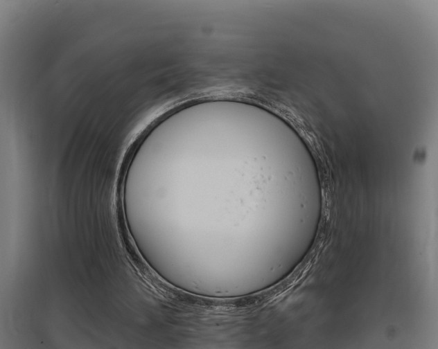 X0000097590196200802290756