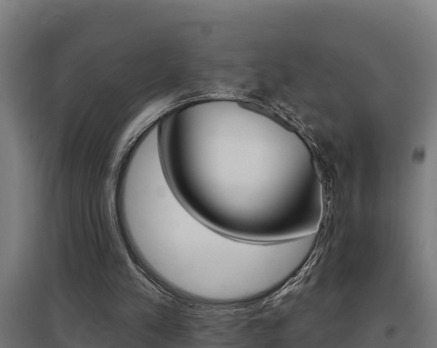 X0000097590197200802290756