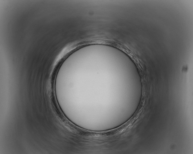 X0000097590198200802290756