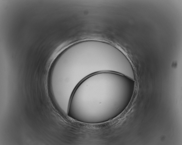 X0000097590199200802290756
