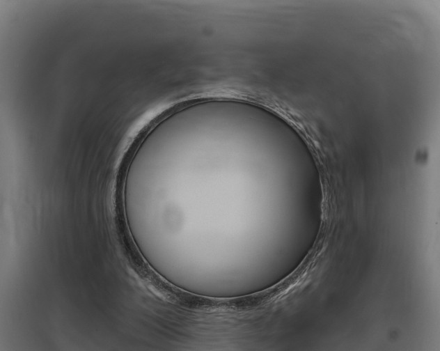 X0000097590200200802290756