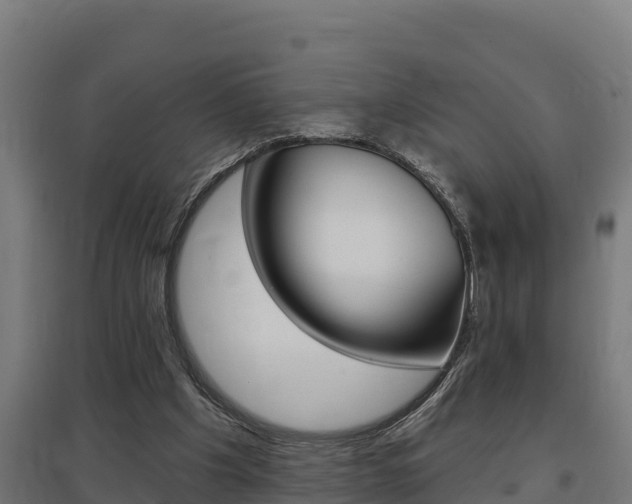 X0000097590201200802290756