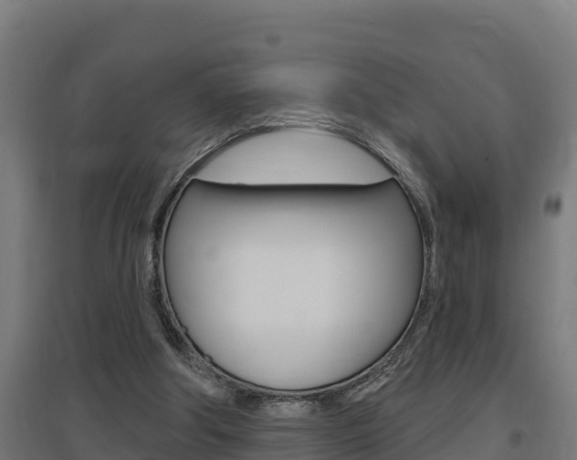 X0000097590202200802290756