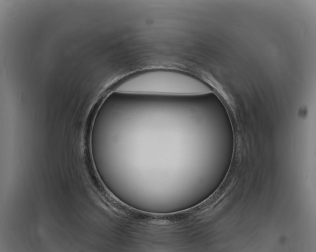 X0000097590203200802290756