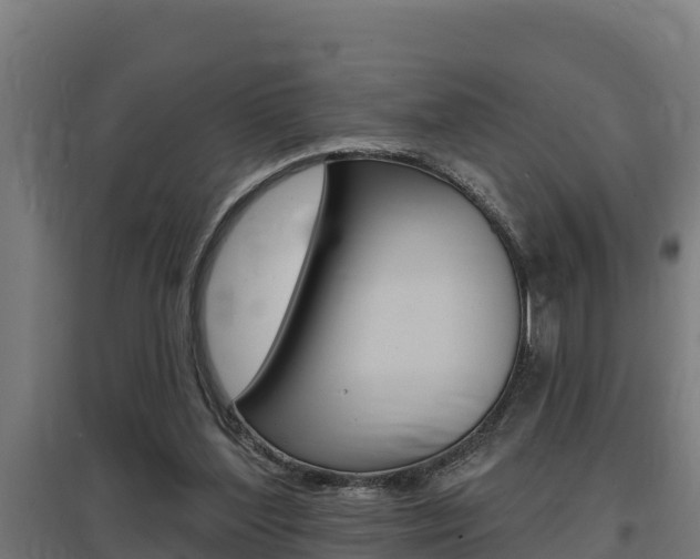 X0000097590204200802290756