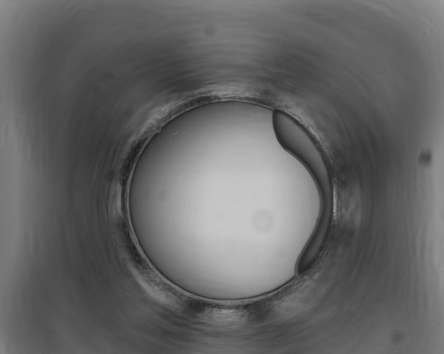 X0000097590205200802290756