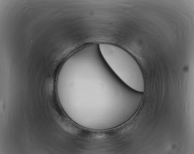 X0000097590206200802290756