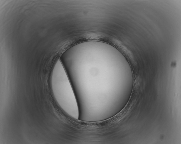 X0000097590209200802290756