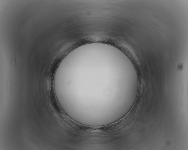X0000097590210200802290756