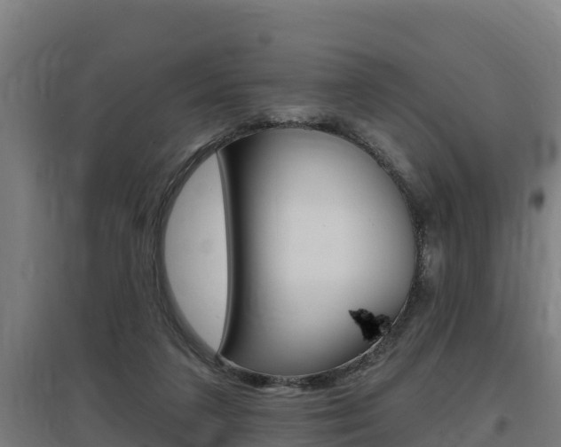 X0000097590211200802290756