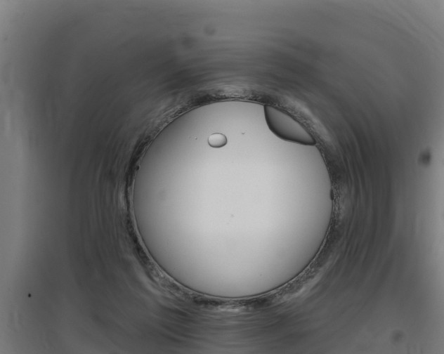 X0000097590213200802290756